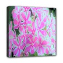 Hot Pink And White Peppermint Twist Garden Phlox Mini Canvas 8  x 8  (Stretched) View1