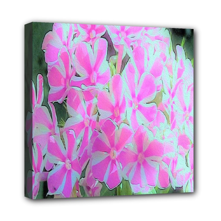 Hot Pink And White Peppermint Twist Garden Phlox Mini Canvas 8  x 8  (Stretched)