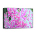 Hot Pink And White Peppermint Twist Garden Phlox Deluxe Canvas 18  x 12  (Stretched) View1