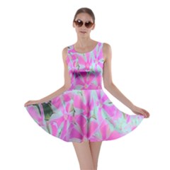 Hot Pink And White Peppermint Twist Garden Phlox Skater Dress by myrubiogarden