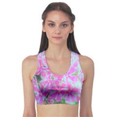 Hot Pink And White Peppermint Twist Garden Phlox Sports Bra by myrubiogarden