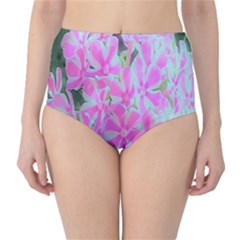 Hot Pink And White Peppermint Twist Garden Phlox Classic High-waist Bikini Bottoms by myrubiogarden