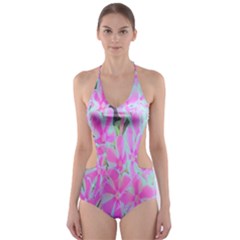 Hot Pink And White Peppermint Twist Garden Phlox Cut-out One Piece Swimsuit by myrubiogarden