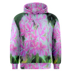 Hot Pink And White Peppermint Twist Garden Phlox Men s Overhead Hoodie by myrubiogarden