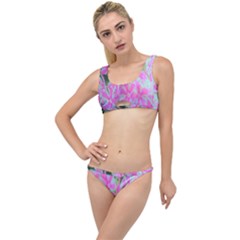 Hot Pink And White Peppermint Twist Garden Phlox The Little Details Bikini Set by myrubiogarden