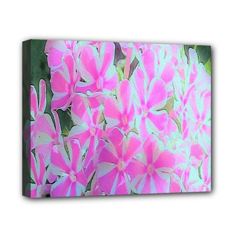 Hot Pink And White Peppermint Twist Garden Phlox Canvas 10  X 8  (stretched) by myrubiogarden