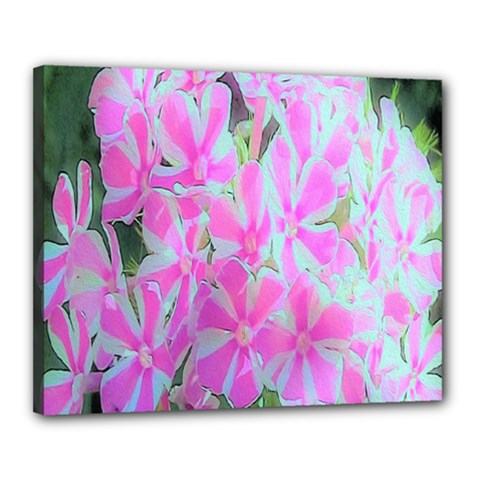 Hot Pink And White Peppermint Twist Garden Phlox Canvas 20  X 16  (stretched) by myrubiogarden