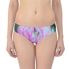 Hot Pink And White Peppermint Twist Garden Phlox Hipster Bikini Bottoms by myrubiogarden