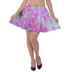 Hot Pink And White Peppermint Twist Garden Phlox Velvet Skater Skirt by myrubiogarden