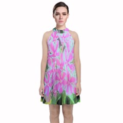 Hot Pink And White Peppermint Twist Garden Phlox Velvet Halter Neckline Dress 