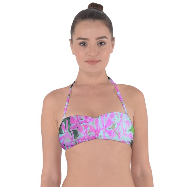 Hot Pink And White Peppermint Twist Garden Phlox Halter Bandeau Bikini Top