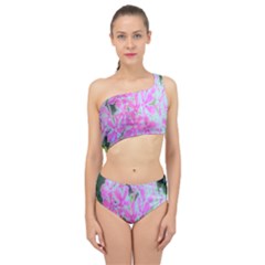 Hot Pink And White Peppermint Twist Garden Phlox Spliced Up Two Piece Swimsuit by myrubiogarden