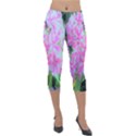 Hot Pink And White Peppermint Twist Garden Phlox Lightweight Velour Capri Leggings  View1