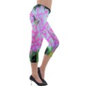 Hot Pink And White Peppermint Twist Garden Phlox Lightweight Velour Capri Leggings  View4