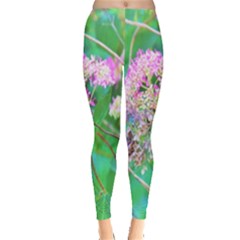 Invincibelle Spirit Hot Pink Hydrangeas On Aqua Green Leggings  by myrubiogarden