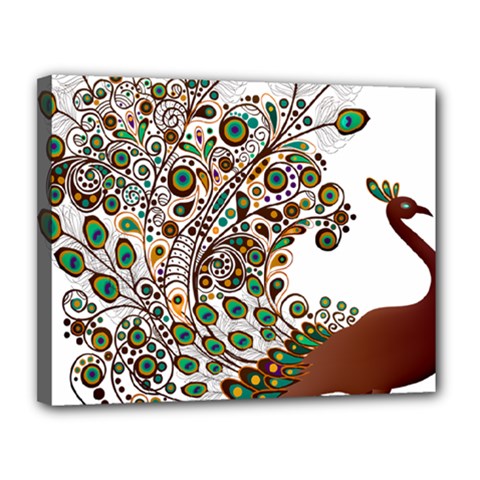 Peacock Graceful Bird Animal Canvas 14  X 11  (stretched) by Wegoenart