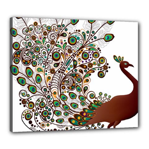 Peacock Graceful Bird Animal Canvas 24  X 20  (stretched) by Wegoenart