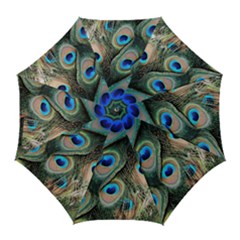 Peacock Feathers Bird Colorful Golf Umbrellas by Wegoenart