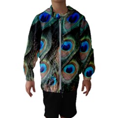 Peacock Feathers Bird Colorful Hooded Windbreaker (kids)