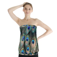 Peacock Feathers Bird Colorful Strapless Top by Wegoenart