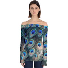 Peacock Feathers Bird Colorful Off Shoulder Long Sleeve Top