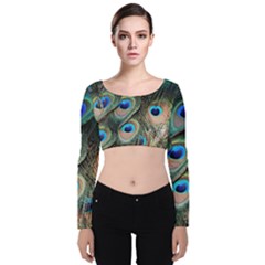 Peacock Feathers Bird Colorful Velvet Long Sleeve Crop Top