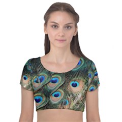 Peacock Feathers Bird Colorful Velvet Short Sleeve Crop Top 