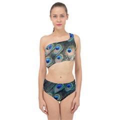 Peacock Feathers Bird Colorful Spliced Up Two Piece Swimsuit