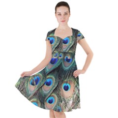 Peacock Feathers Bird Colorful Cap Sleeve Midi Dress