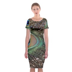 Peacock Tail Feathers Classic Short Sleeve Midi Dress