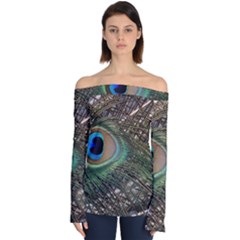 Peacock Tail Feathers Off Shoulder Long Sleeve Top