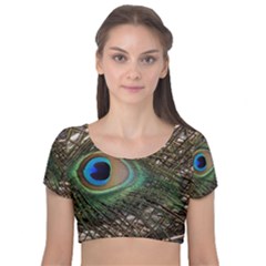 Peacock Tail Feathers Velvet Short Sleeve Crop Top  by Wegoenart