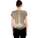 Peacock Wheel Bird Nature Crew Neck Crop Top View2