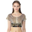 Peacock Wheel Bird Nature Short Sleeve Crop Top View1