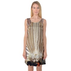 Peacock Wheel Bird Nature Sleeveless Satin Nightdress by Wegoenart