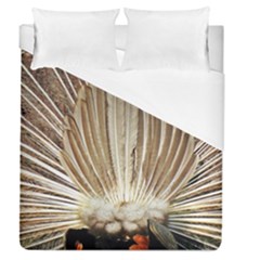 Peacock Wheel Bird Nature Duvet Cover (queen Size) by Wegoenart