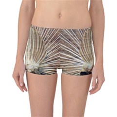 Peacock Wheel Bird Nature Reversible Boyleg Bikini Bottoms