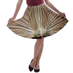 Peacock Wheel Bird Nature A-line Skater Skirt by Wegoenart