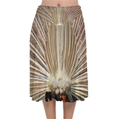 Peacock Wheel Bird Nature Velvet Flared Midi Skirt by Wegoenart