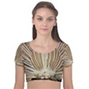 Peacock Wheel Bird Nature Velvet Short Sleeve Crop Top  View1