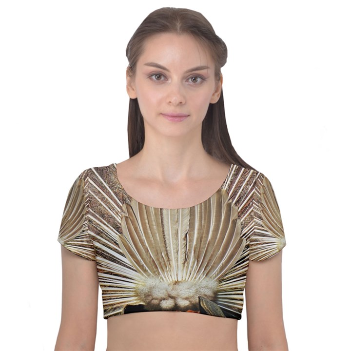 Peacock Wheel Bird Nature Velvet Short Sleeve Crop Top 