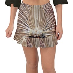 Peacock Wheel Bird Nature Fishtail Mini Chiffon Skirt by Wegoenart