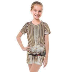 Peacock Wheel Bird Nature Kids  Mesh Tee And Shorts Set