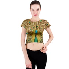 Peacock Feather Bird Peafowl Crew Neck Crop Top by Wegoenart