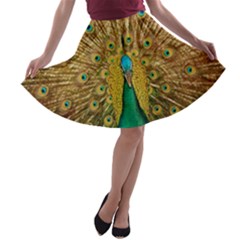 Peacock Feather Bird Peafowl A-line Skater Skirt by Wegoenart