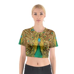 Peacock Feather Bird Peafowl Cotton Crop Top by Wegoenart