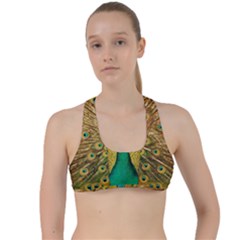 Peacock Feather Bird Peafowl Criss Cross Racerback Sports Bra by Wegoenart