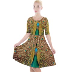 Peacock Feather Bird Peafowl Quarter Sleeve A-line Dress