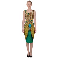 Peacock Feather Bird Peafowl Sleeveless Pencil Dress