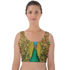 Peacock Feather Bird Peafowl Velvet Crop Top by Wegoenart